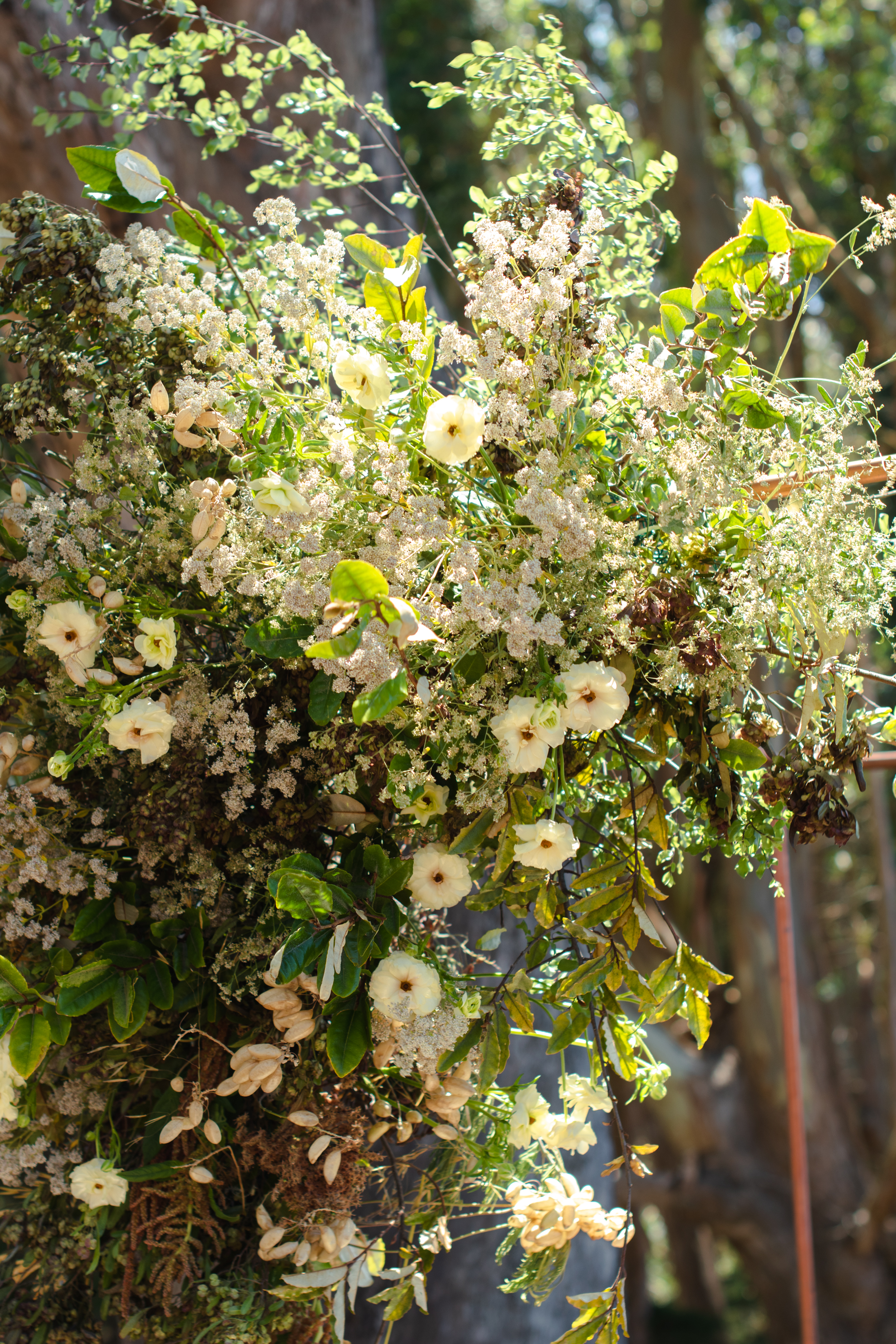 Dried Florals – Crimson Horticultural Rarities