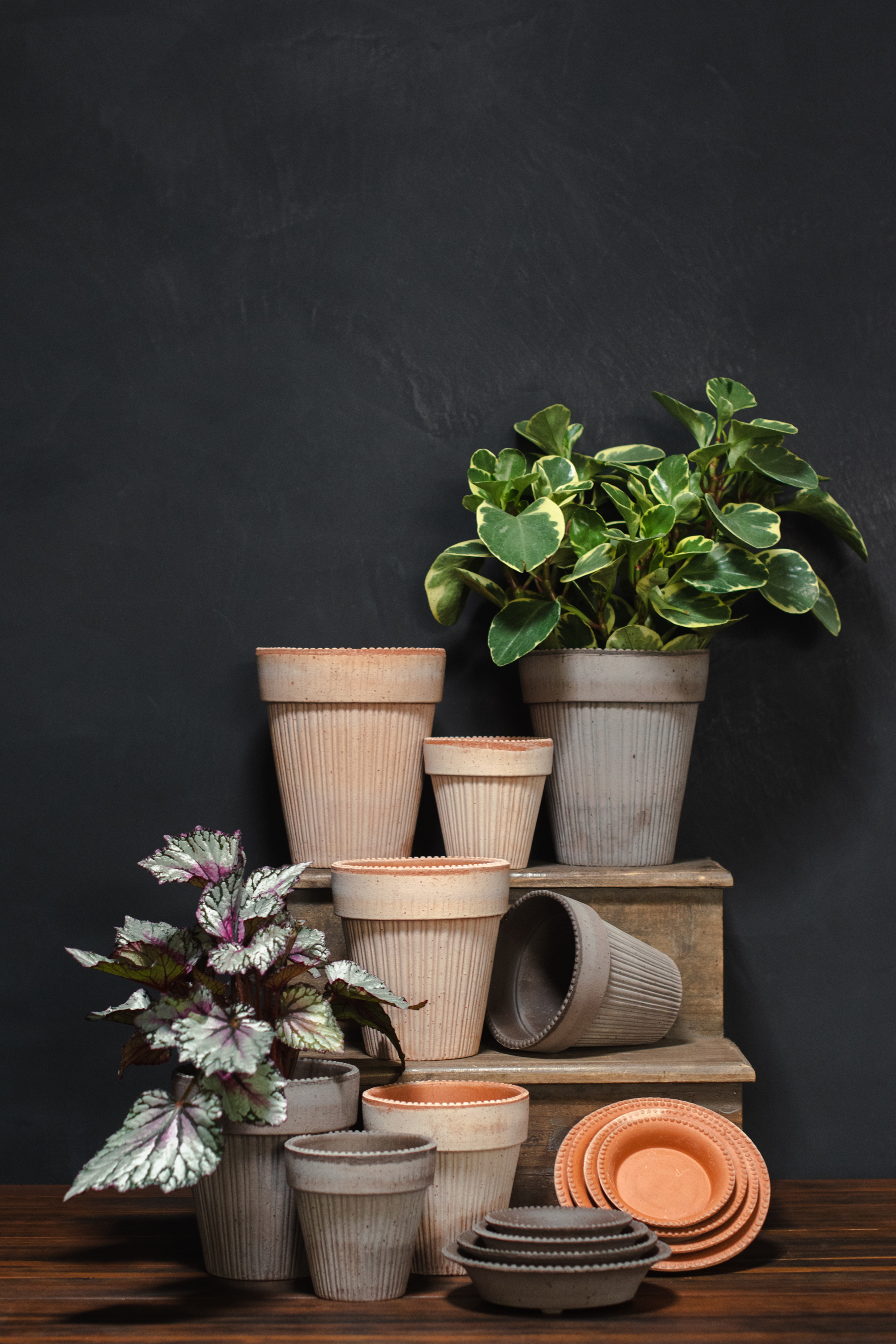 Planters