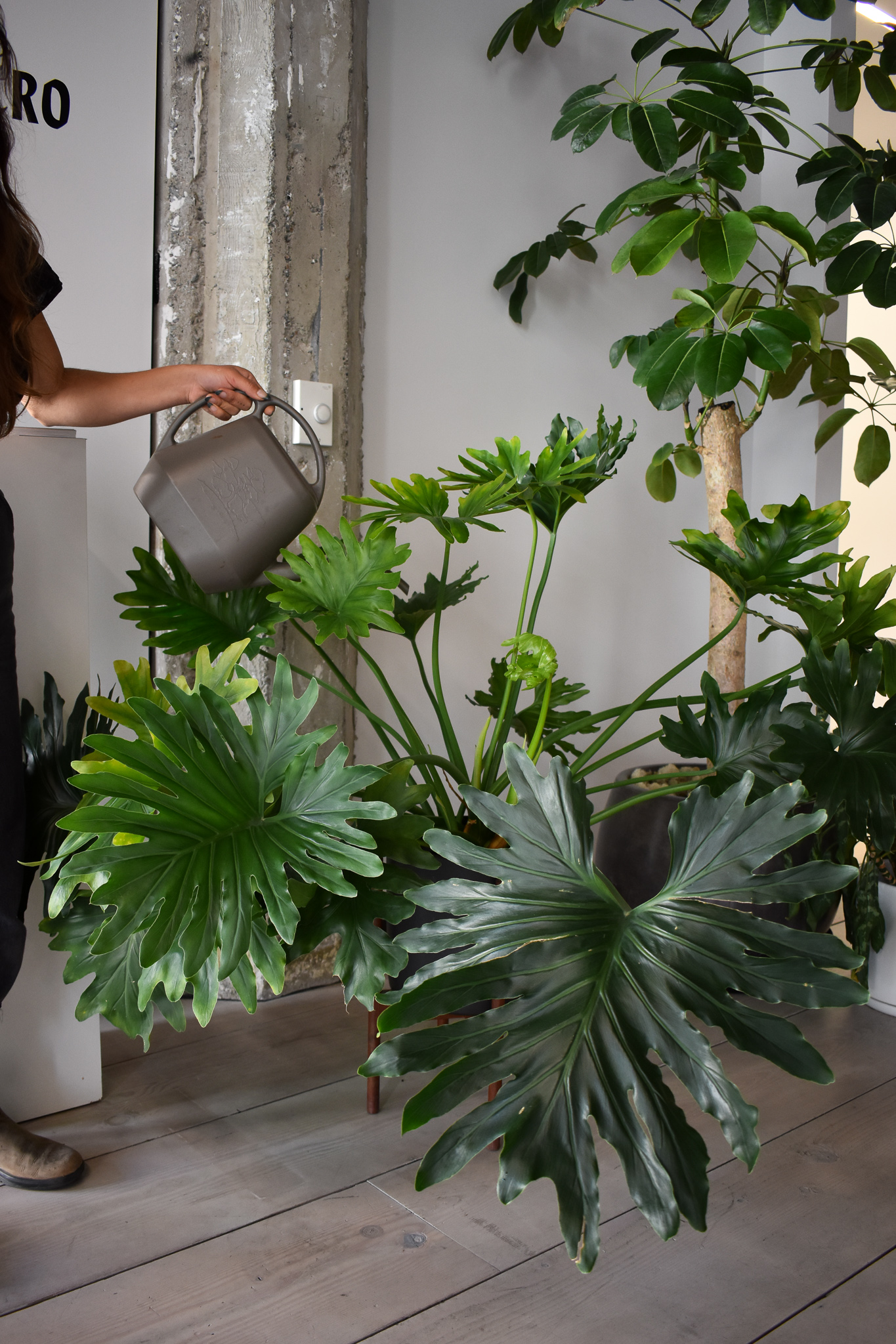 Watering Tools