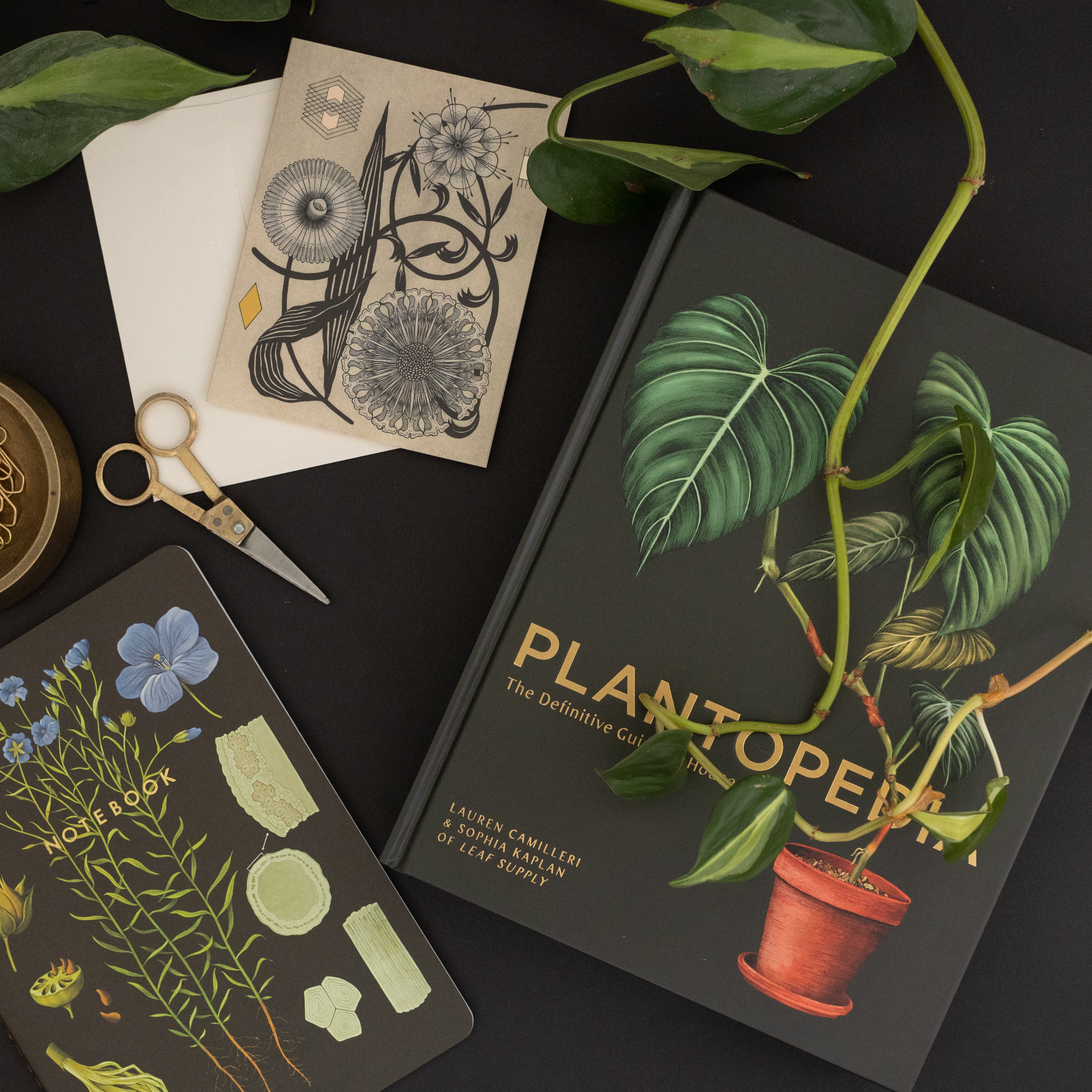 Paper Goods