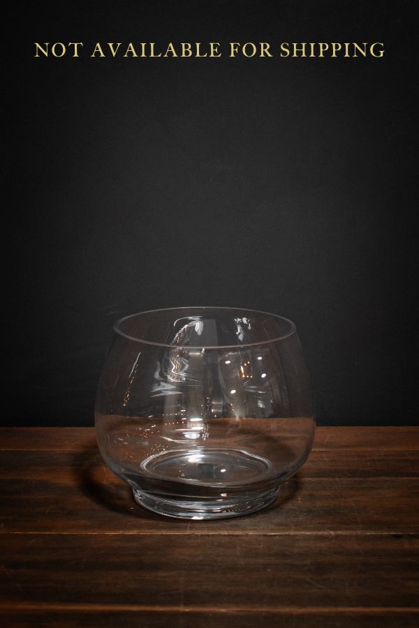 Discovery Terrarium