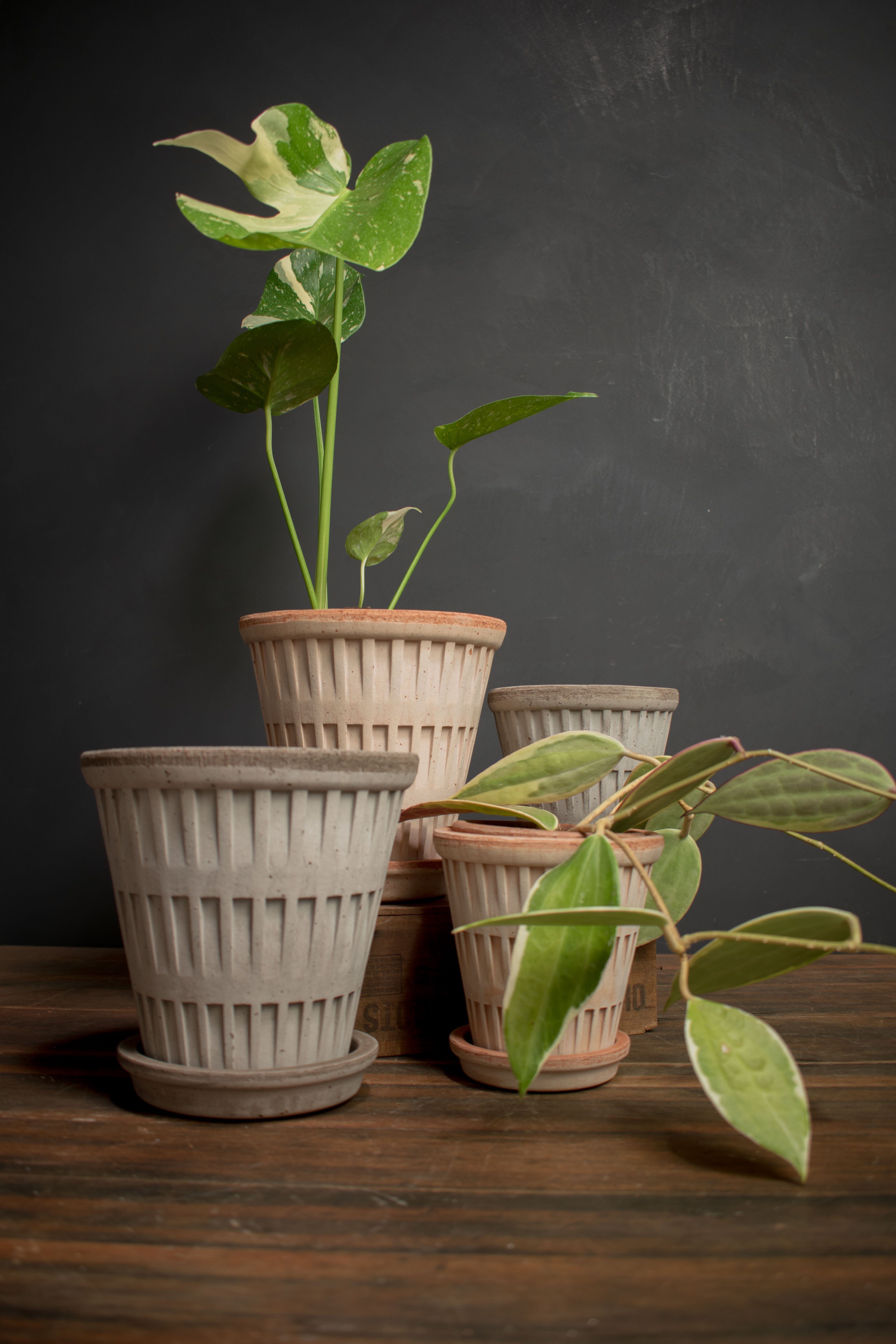 house plants in terracotta pots magnuson Bergs Potter Pantheon raw pot Pink, o12 cm | Scandinavian Design | Flower pots