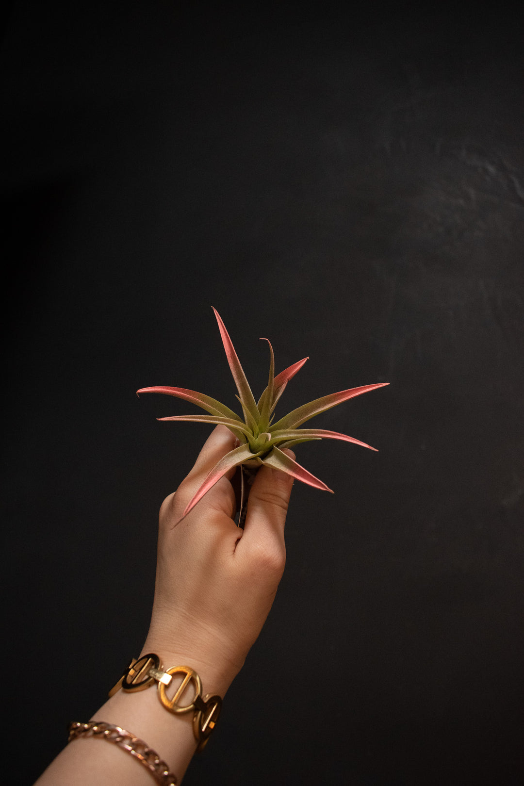 Capitata Peach