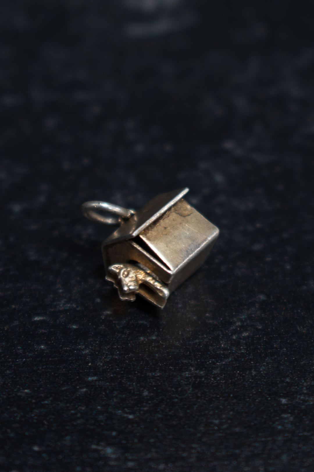 Charm - Sterling Silver Dog in Dog House