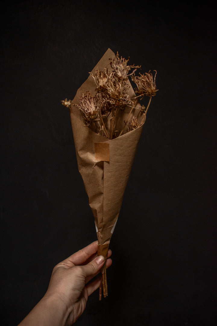 Dried Chrysanthemum Bundle