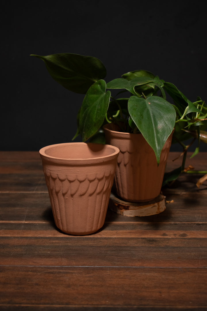 Terra Cotta Pot