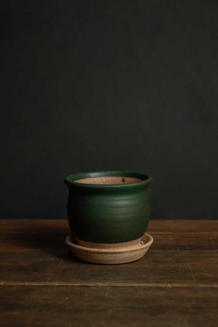 Stephen Moellering Planters