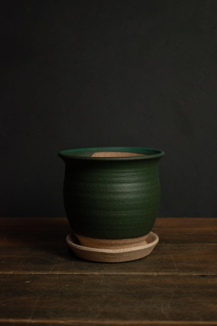 Stephen Moellering Planters