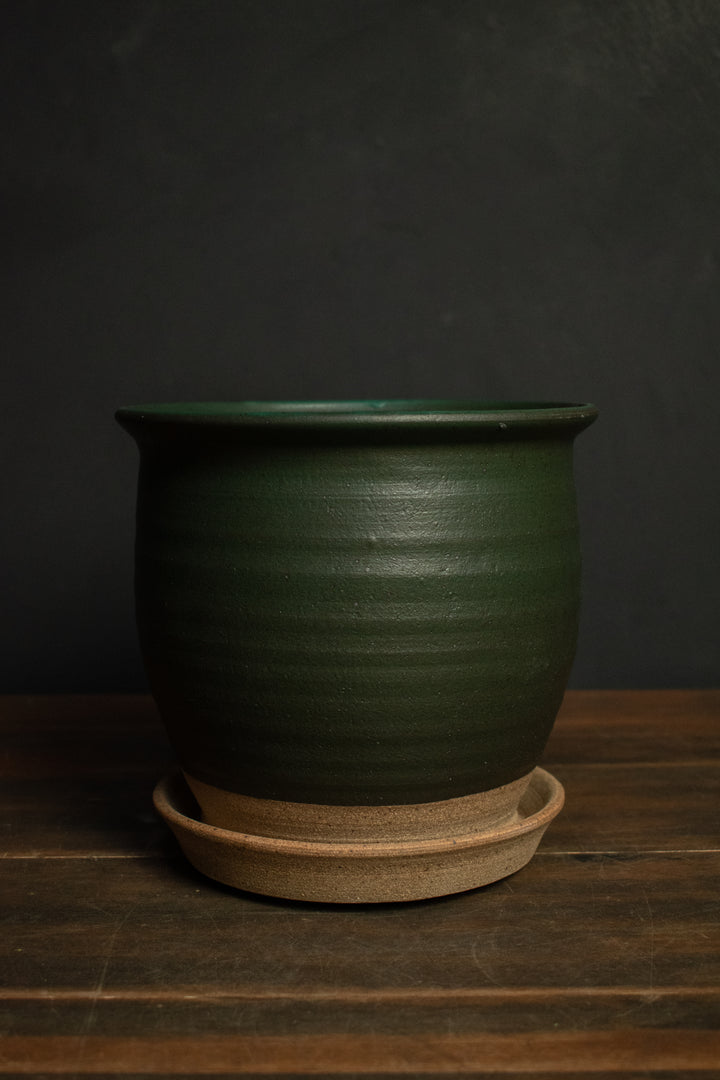 Stephen Moellering Planters
