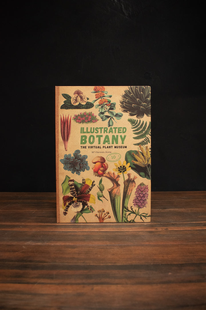 Illustrated Botany