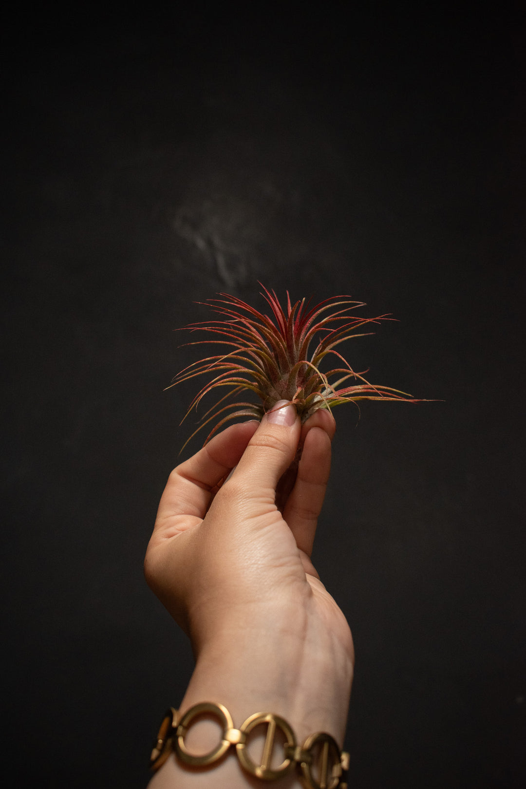 Ionantha Red Enhanced