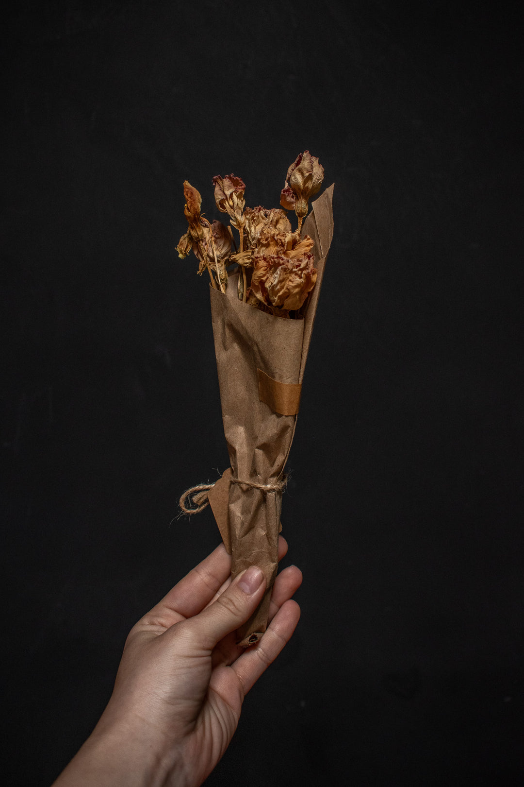 Dried Lisianthus Bundle