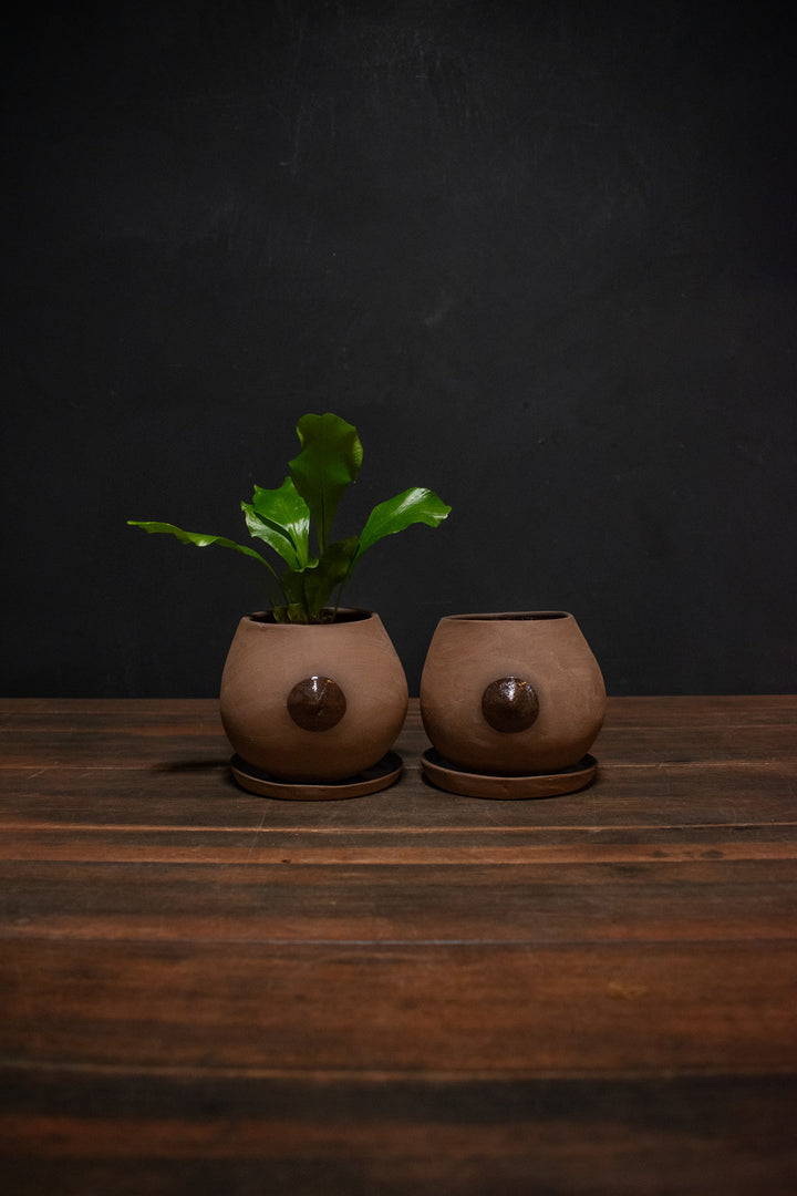 Niko Far West Nip Planter