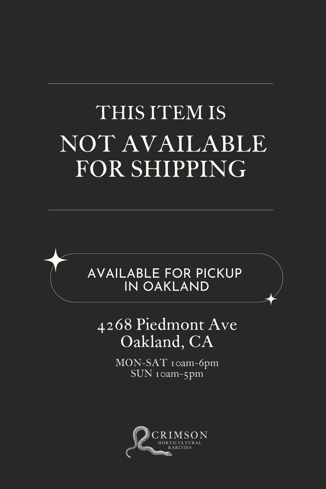 Large - Alocasia - Regal Shield