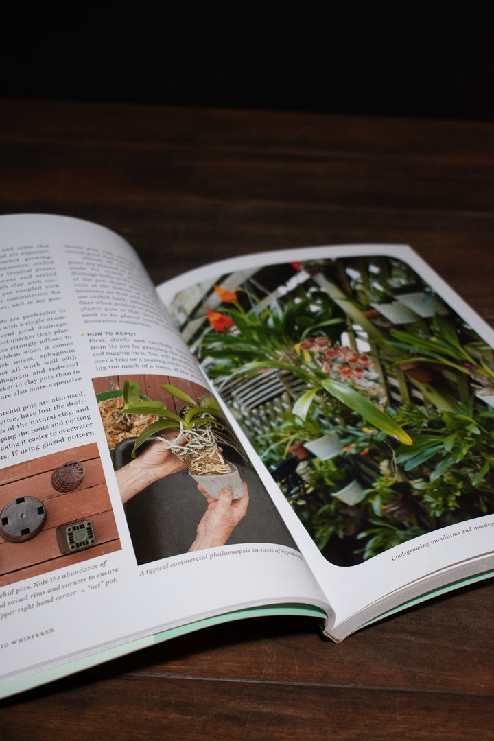 The Orchid Whisperer: Expert Secrets for Growing Beautiful Orchids
