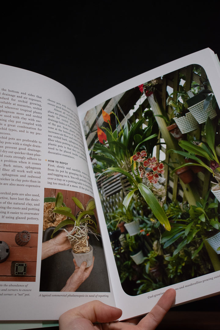 The Orchid Whisperer: Expert Secrets for Growing Beautiful Orchids