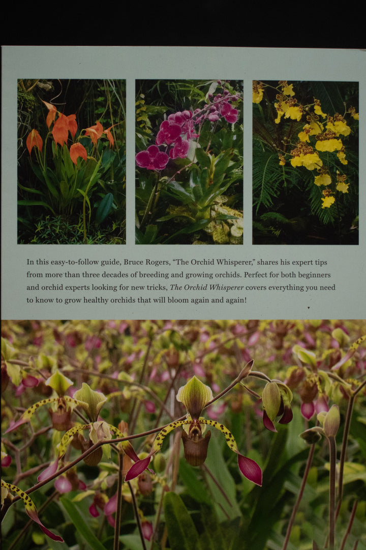 The Orchid Whisperer: Expert Secrets for Growing Beautiful Orchids