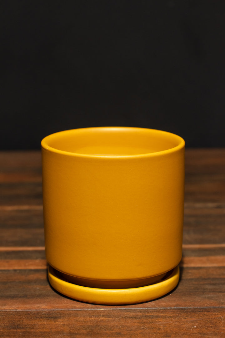Momma Pots Gemstone Cylinder and Saucer