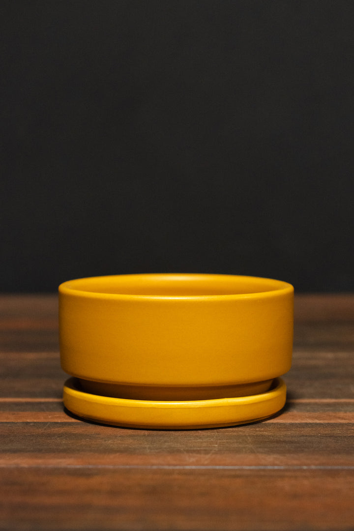 Momma Pots Gemstone Low Bowl and Saucer