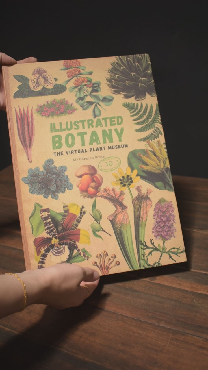 Illustrated Botany