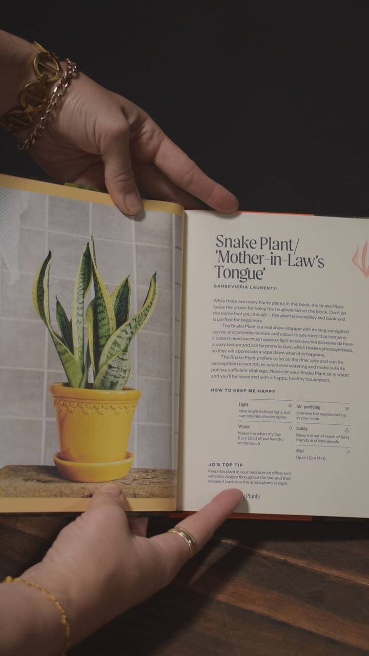 The Unkillables: 40 Resilient House Plants for New Plant Parents