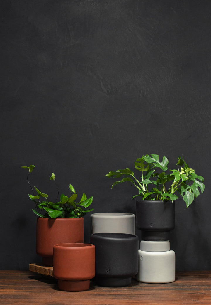 Aaron Probyn Botany Plant Pot
