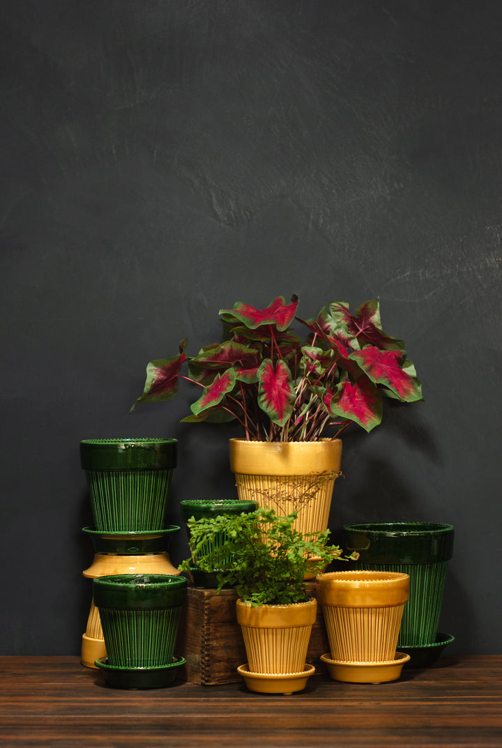 Bergs Potter Glazed Simona Set