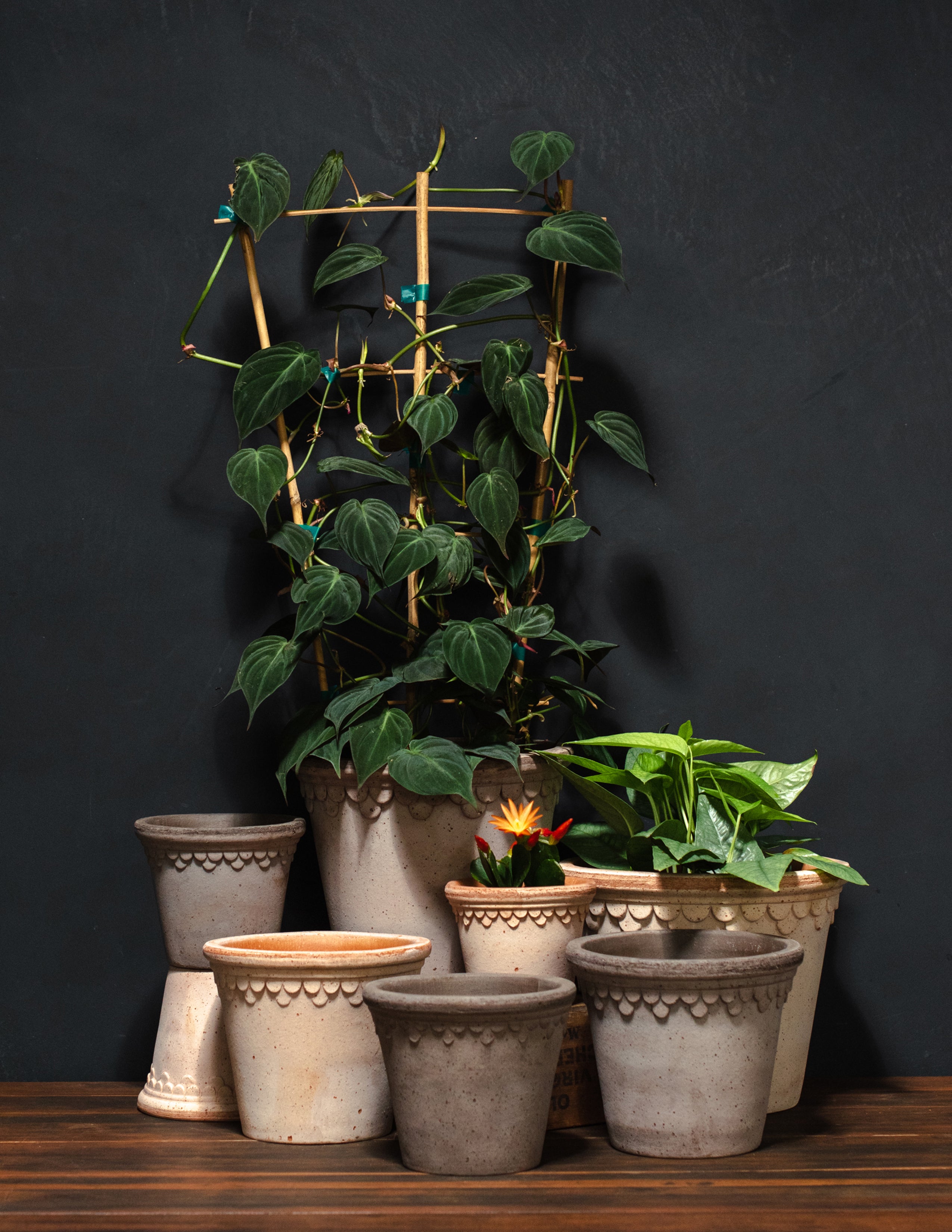 Bergs Potter Københavner Glazed Pot & Saucer – Gardenheir