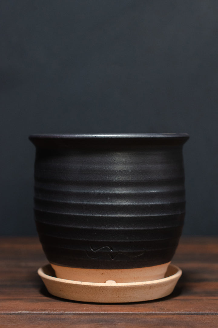 Stephen Moellering Planters
