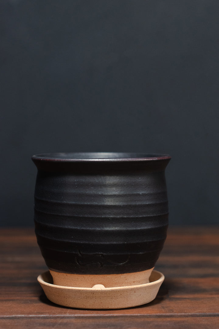 Stephen Moellering Planters