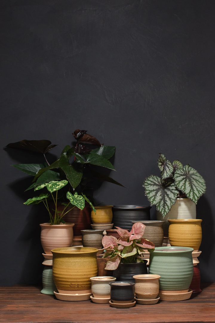 Stephen Moellering Planters