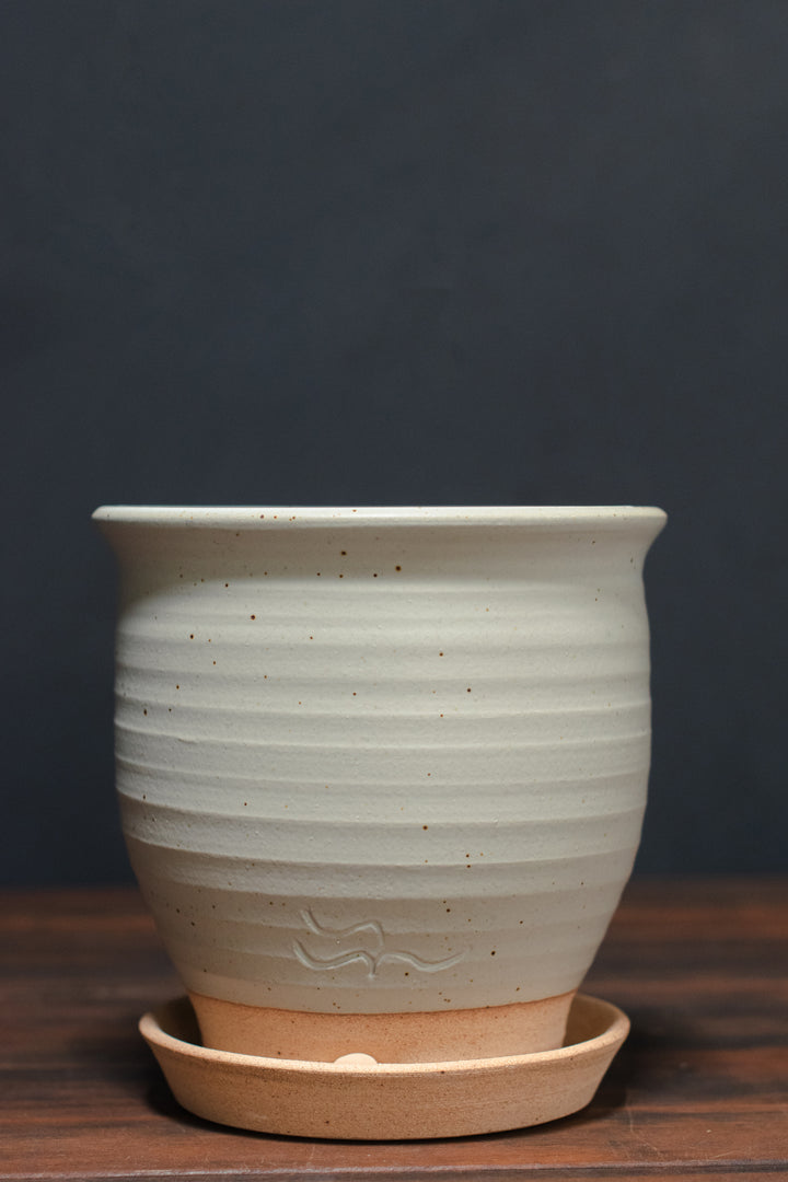 Stephen Moellering Planters
