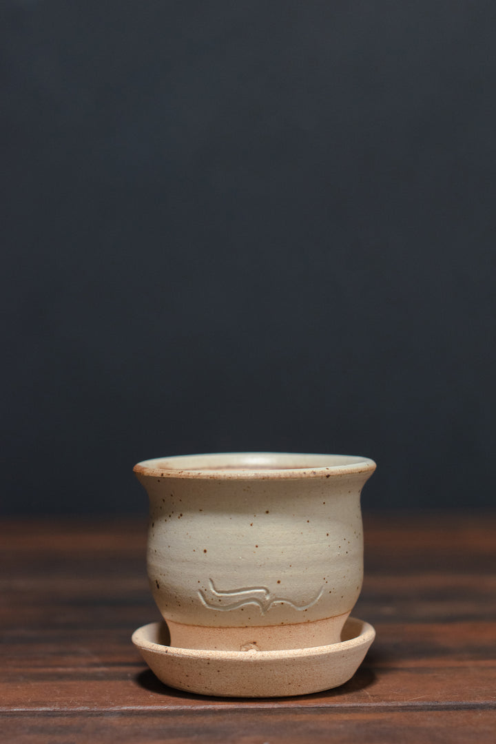 Stephen Moellering Planters