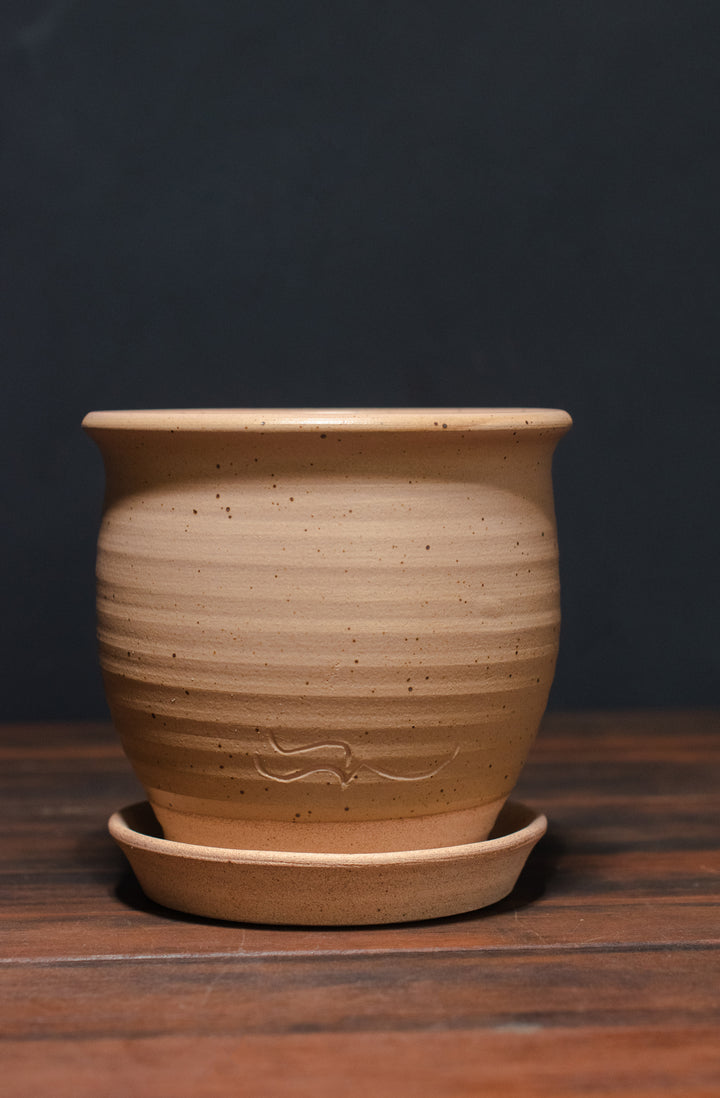 Stephen Moellering Planters