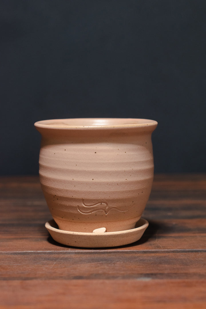 Stephen Moellering Planters