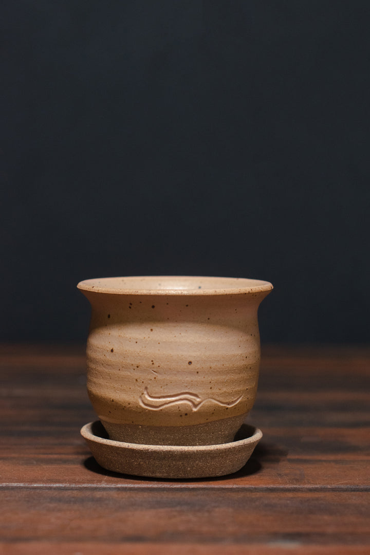 Stephen Moellering Planters