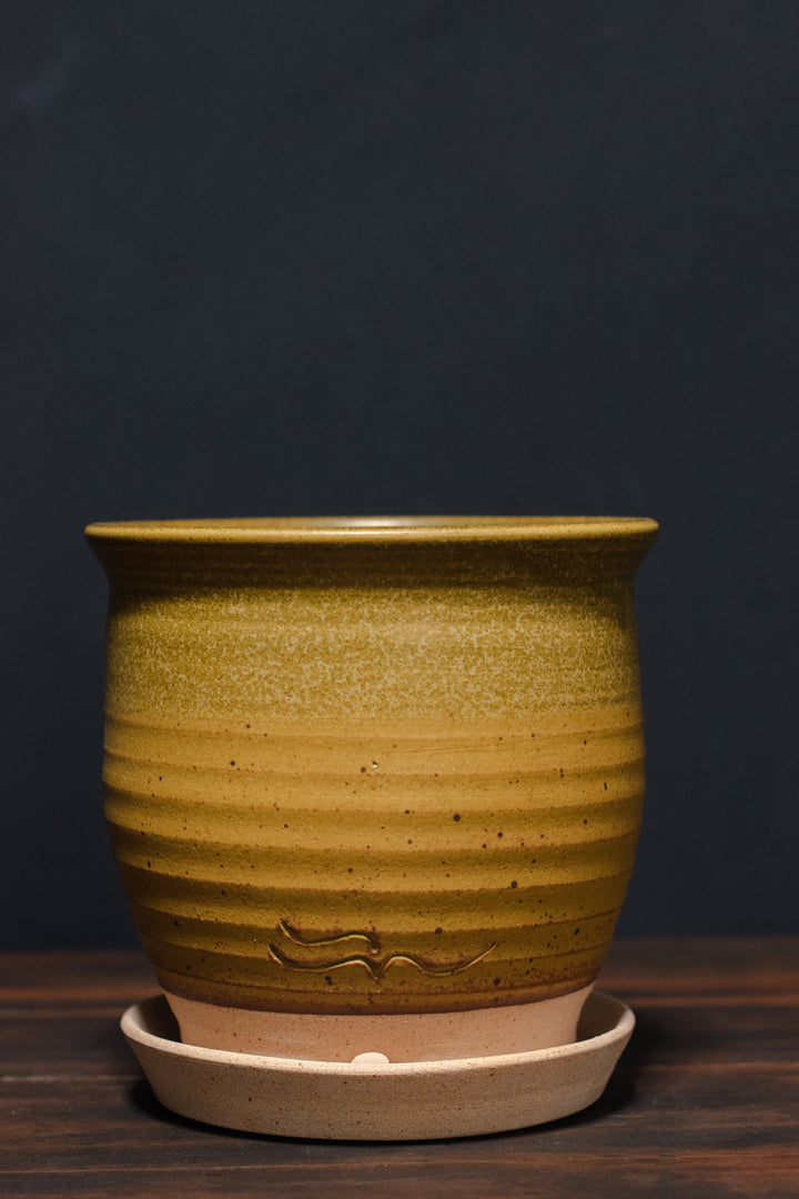 Stephen Moellering Planters
