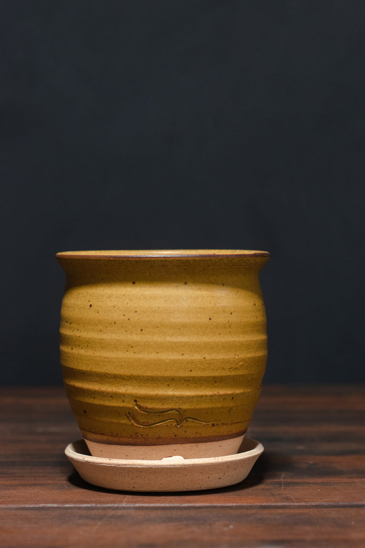 Stephen Moellering Planters