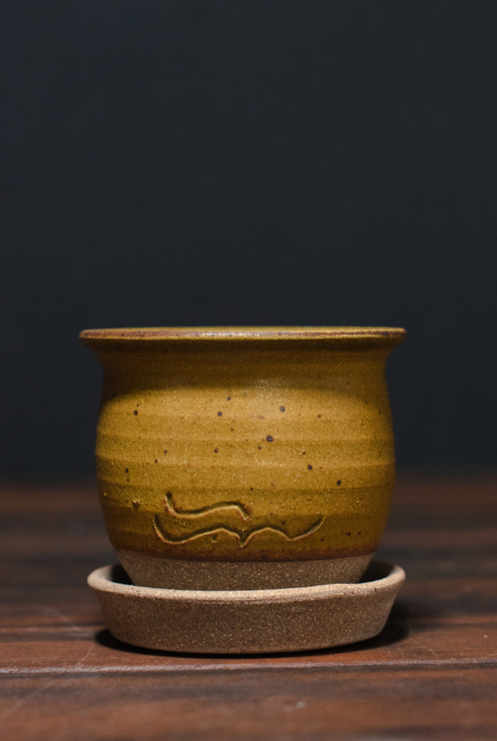 Stephen Moellering Planters
