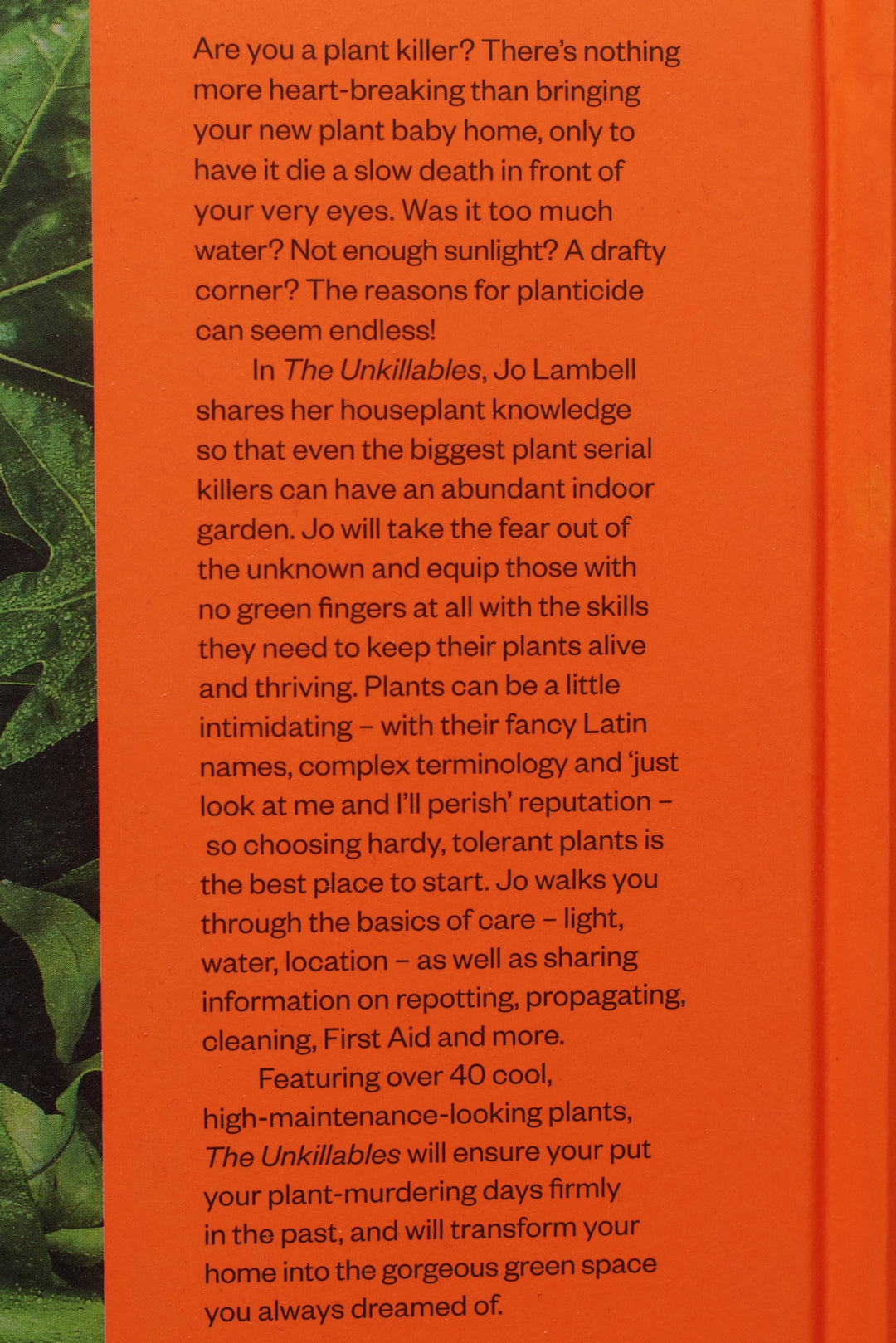 The Unkillables: 40 Resilient House Plants for New Plant Parents