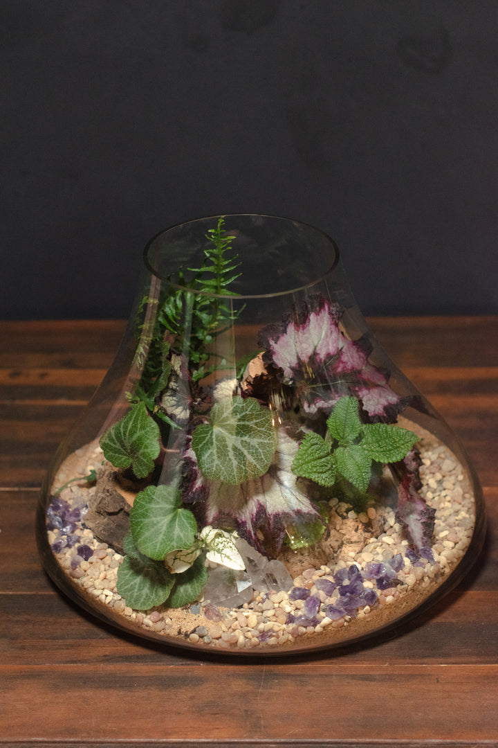 Tabletop Terrarium