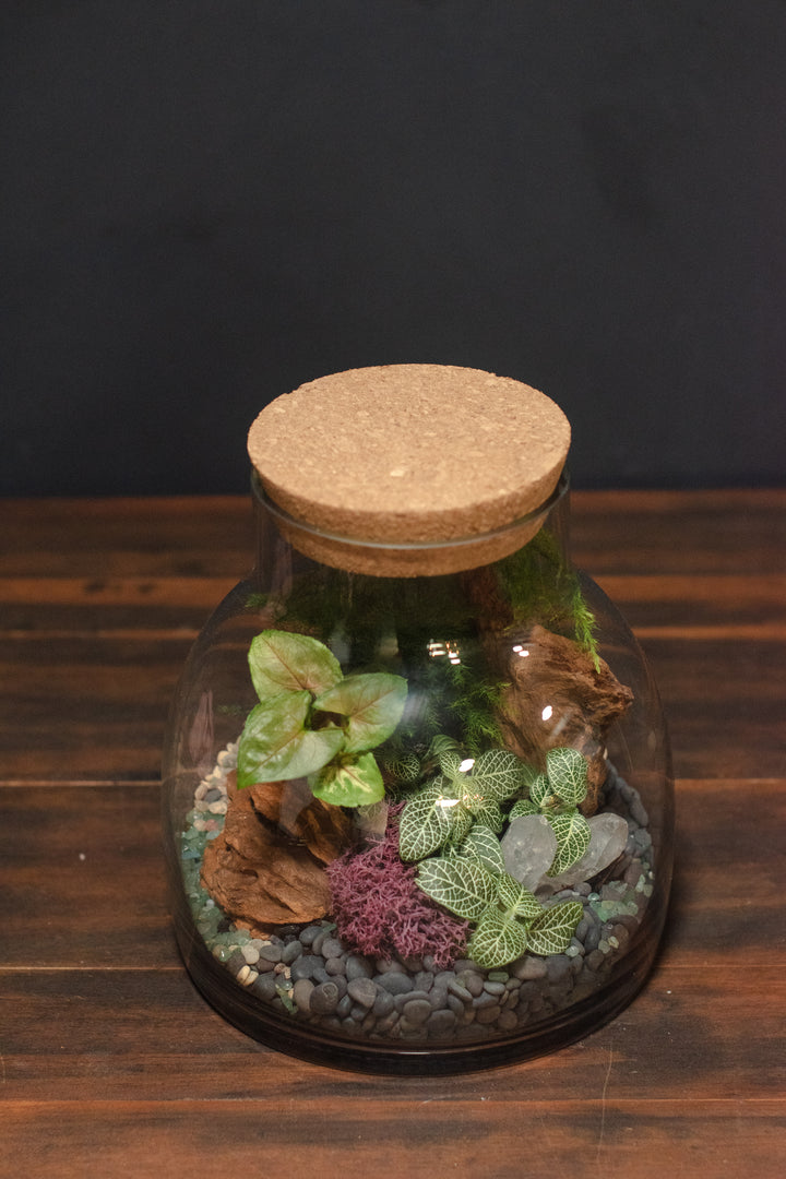 Tabletop Terrarium