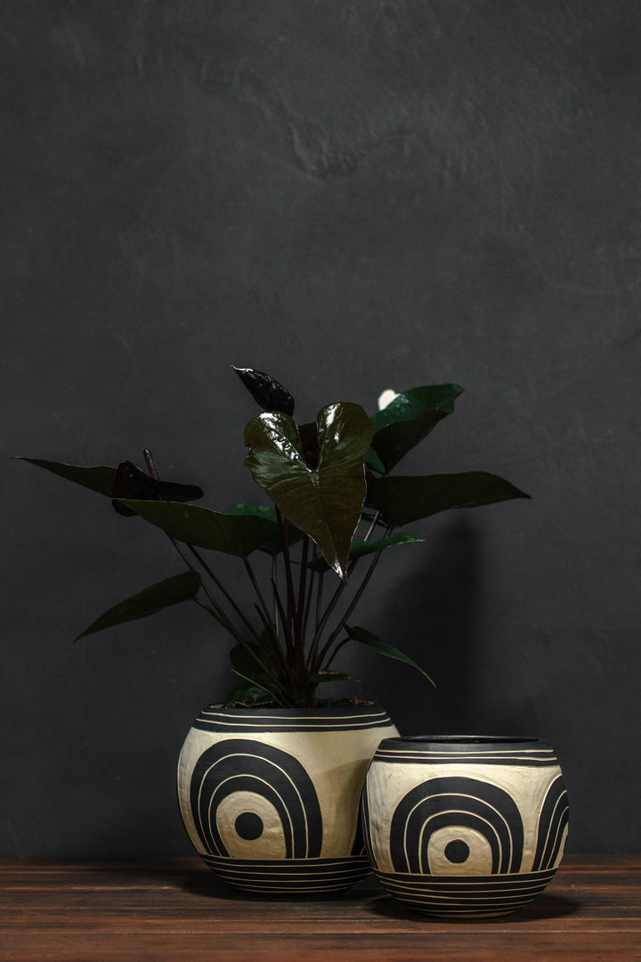 Niko Far West Mati Orb Planter