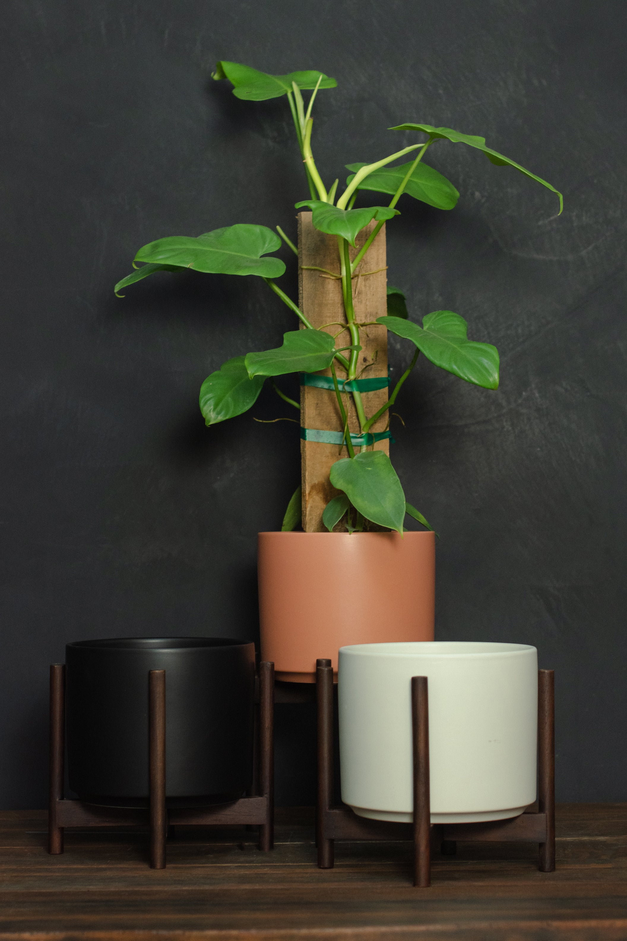 black ceramic indoor plant pots REVIVAL Ceramics