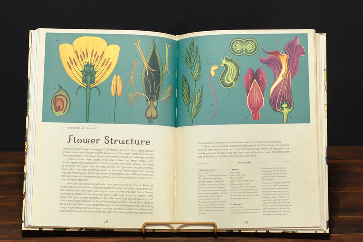 Botanicum: Welcome to the Museum
