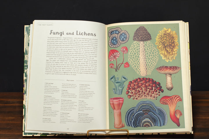 Botanicum: Welcome to the Museum
