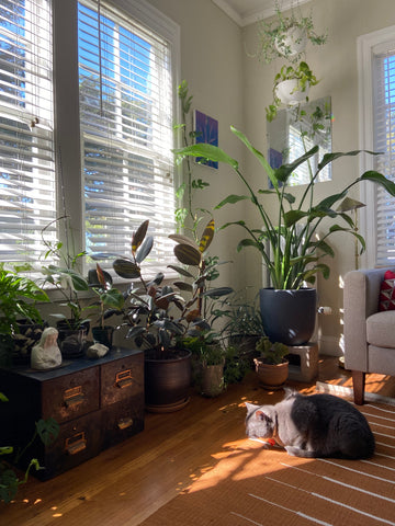 At Home With Nelly