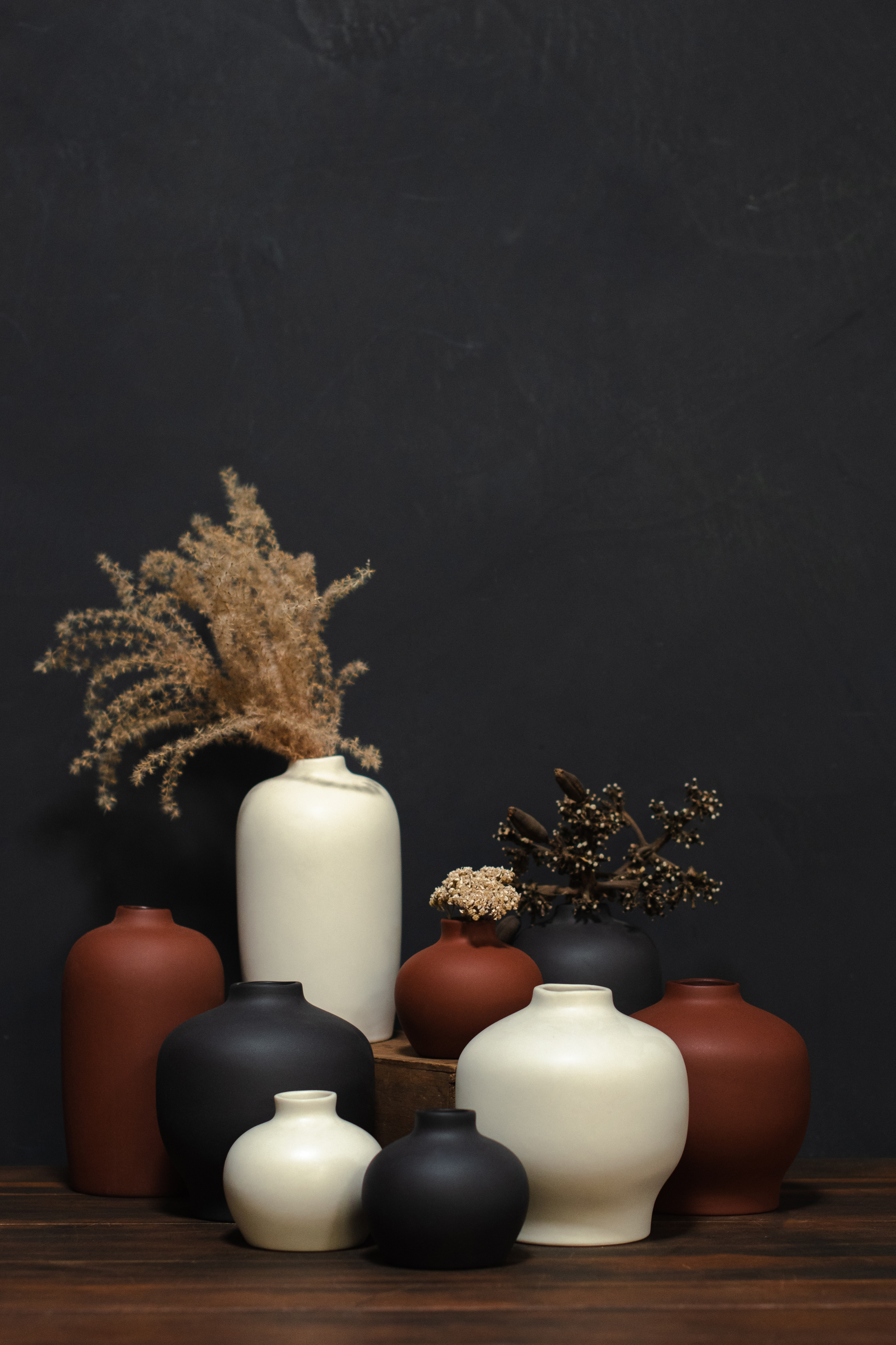 earnest hearts 鉢　volt 風林火山 Shop Vases – Crimson Horticultural Rarities