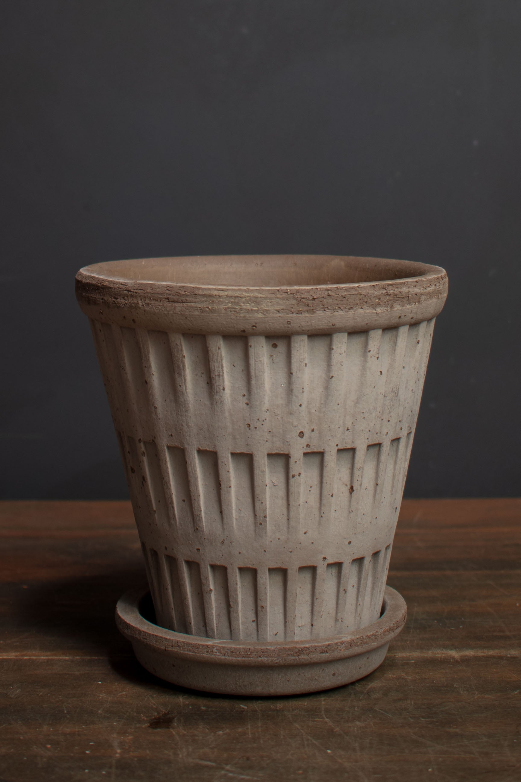 Crimson Horticultural Rarities - Oakland Nursery and Florist