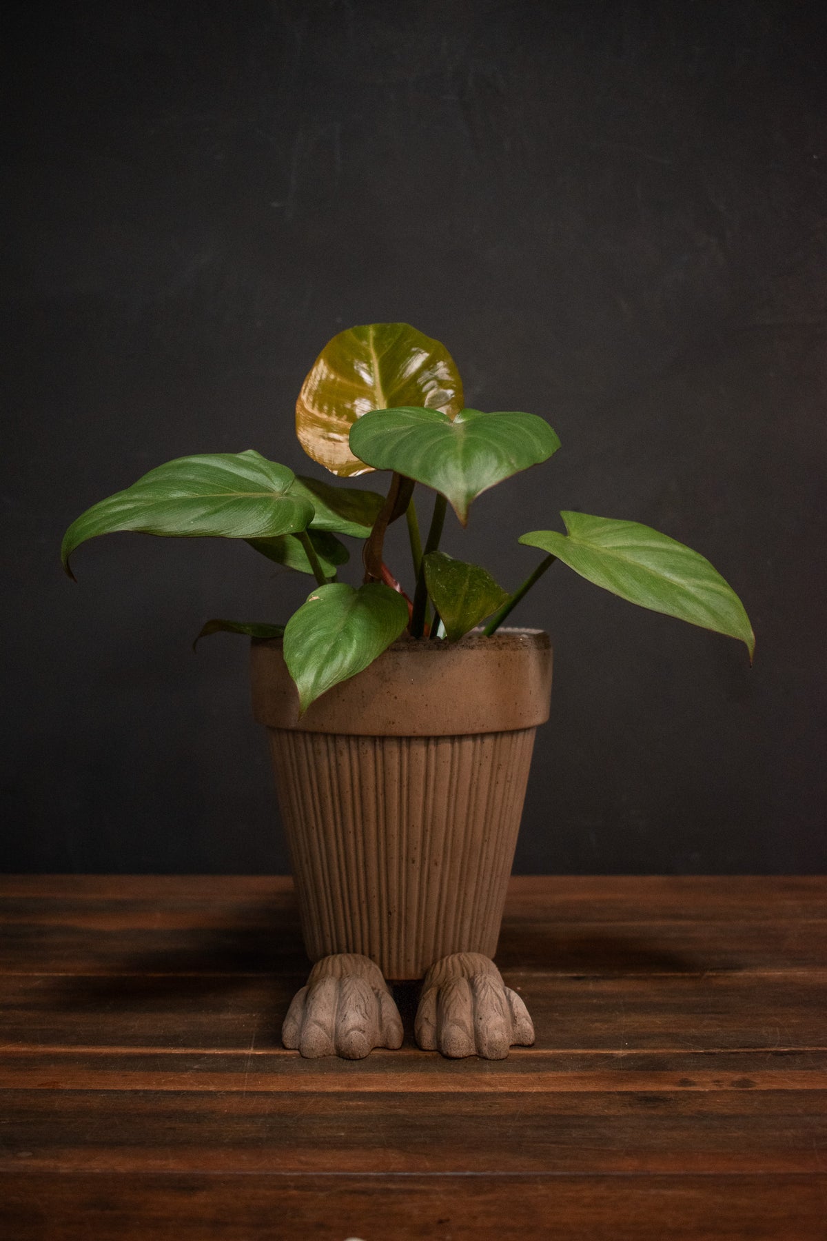 decorative plant pot feet Bergs Potter